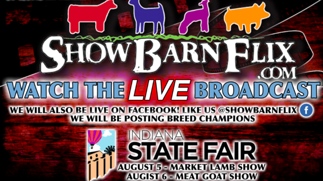 Indiana State Fair Meat Goat Show On Livestream