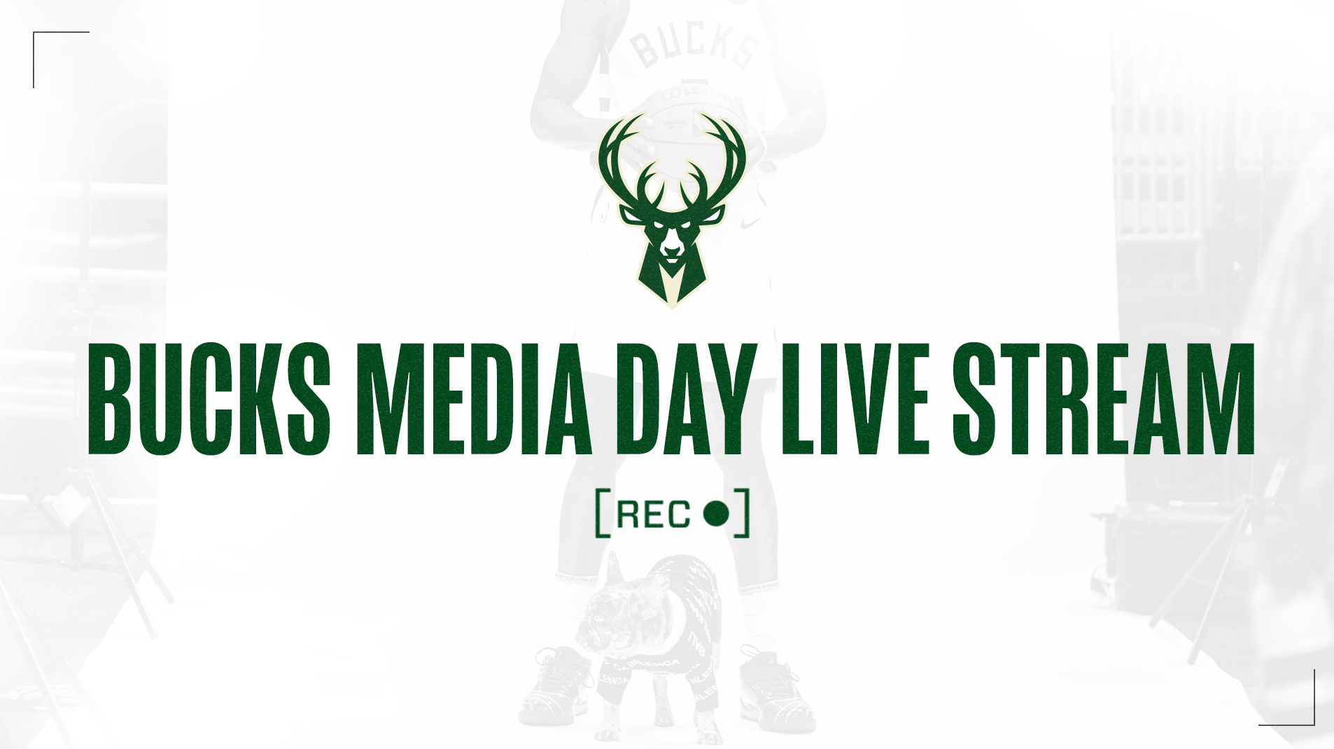 Bucks live stream online free