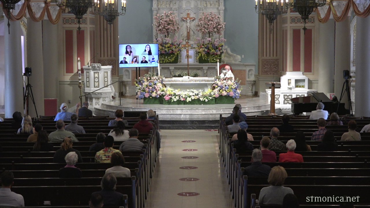 St. Monica Mass Livestream on Livestream