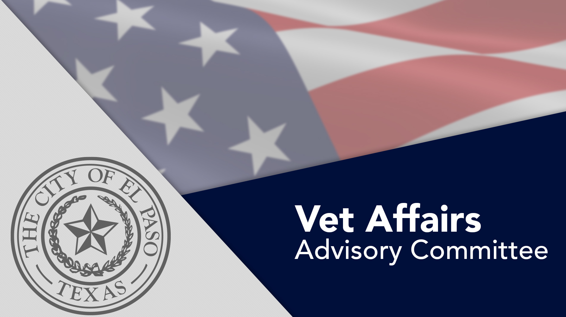 Veterans Affairs Advisory Committee on Livestream