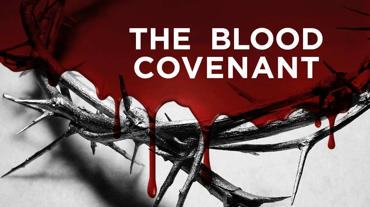 the-blood-covenant-class-on-livestream