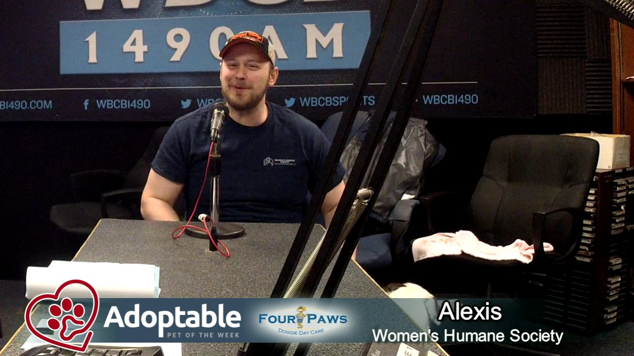 Four paws doggie daycare adoptable pet of the week on livestream