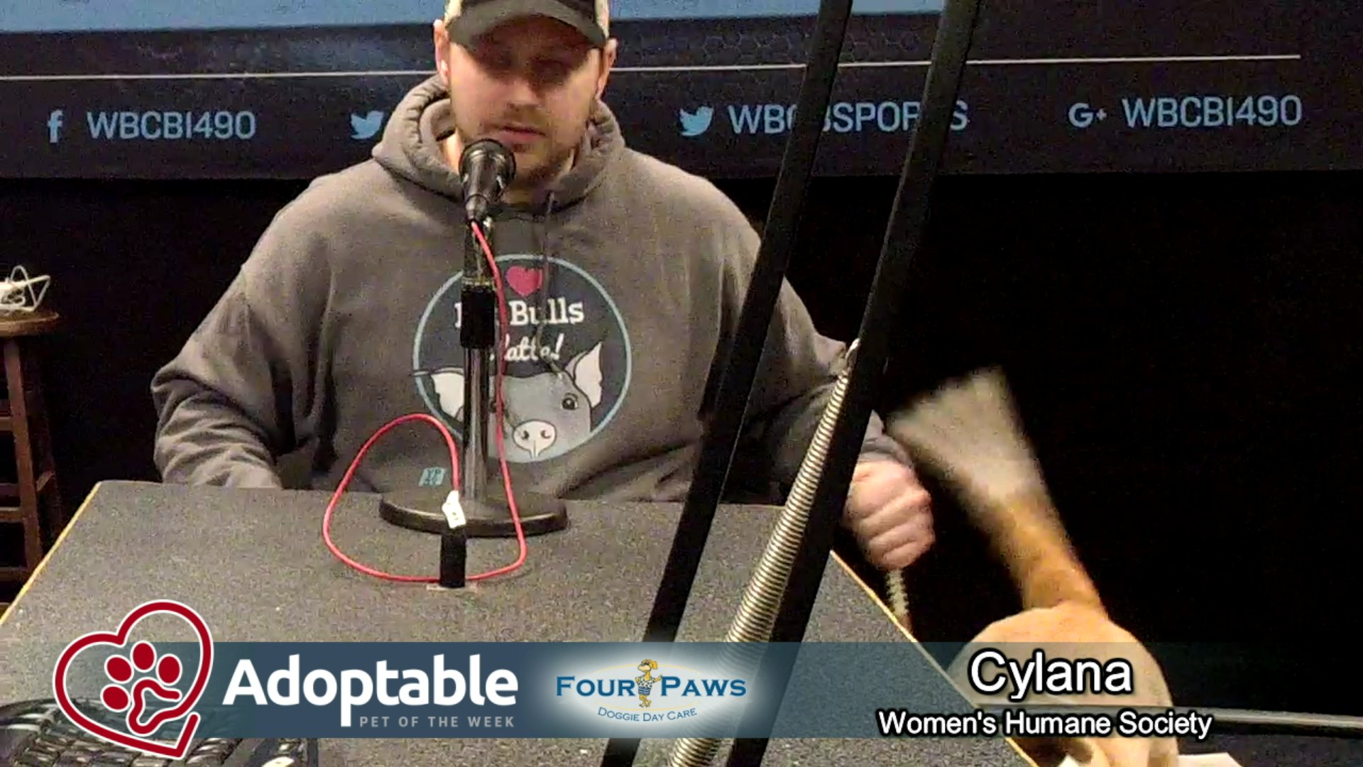 Four Paws Doggie Daycare Adoptable Pet Of The Week On Livestream