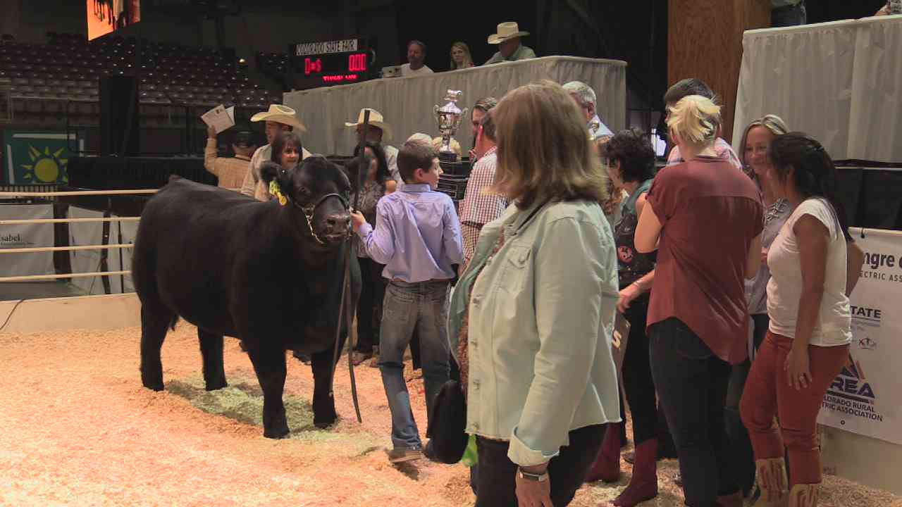 2018 CO State Fair Livestock Shows on Livestream