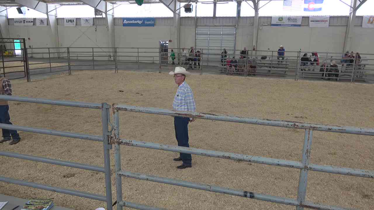 2018 CO State Fair Livestock Shows on Livestream