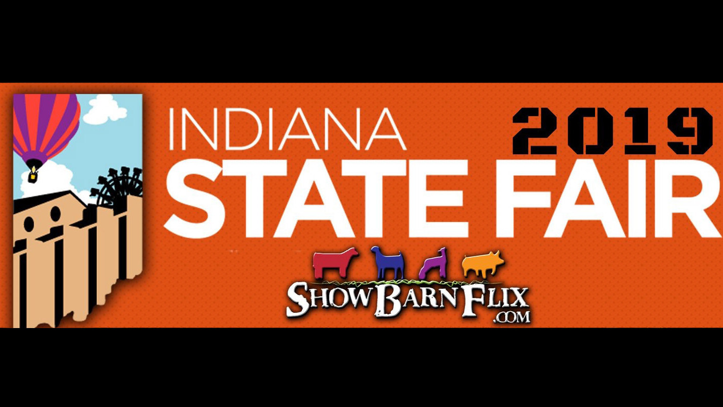 2019 Indiana State Fair Breeding Sheep Shows on Livestream