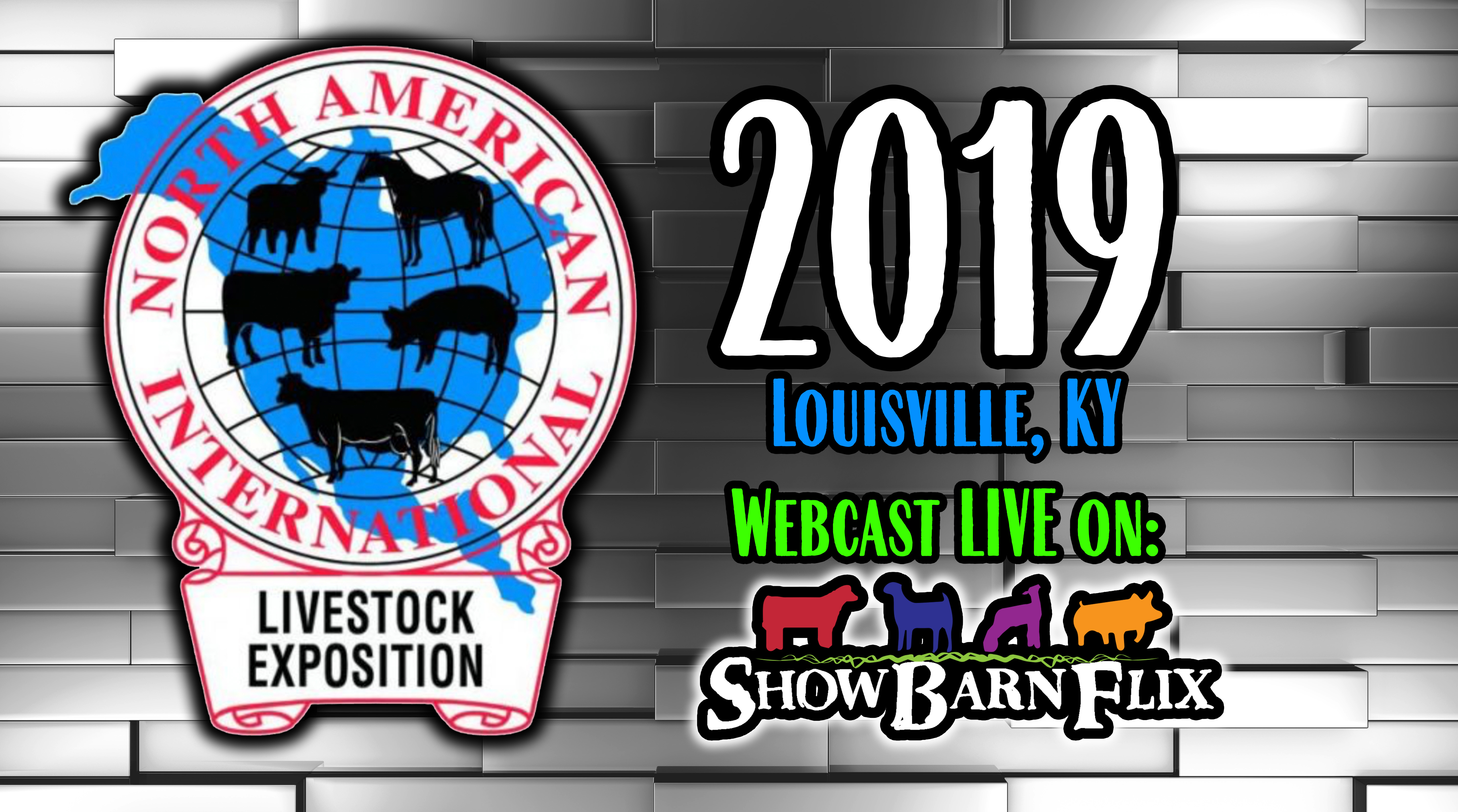 Brown Swiss Open Show NAILE 2019! on Livestream