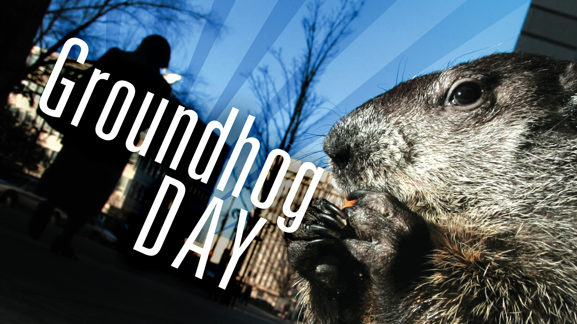 Groundhog Day on Livestream