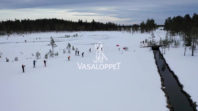 Summering av Vasaåket 2021
