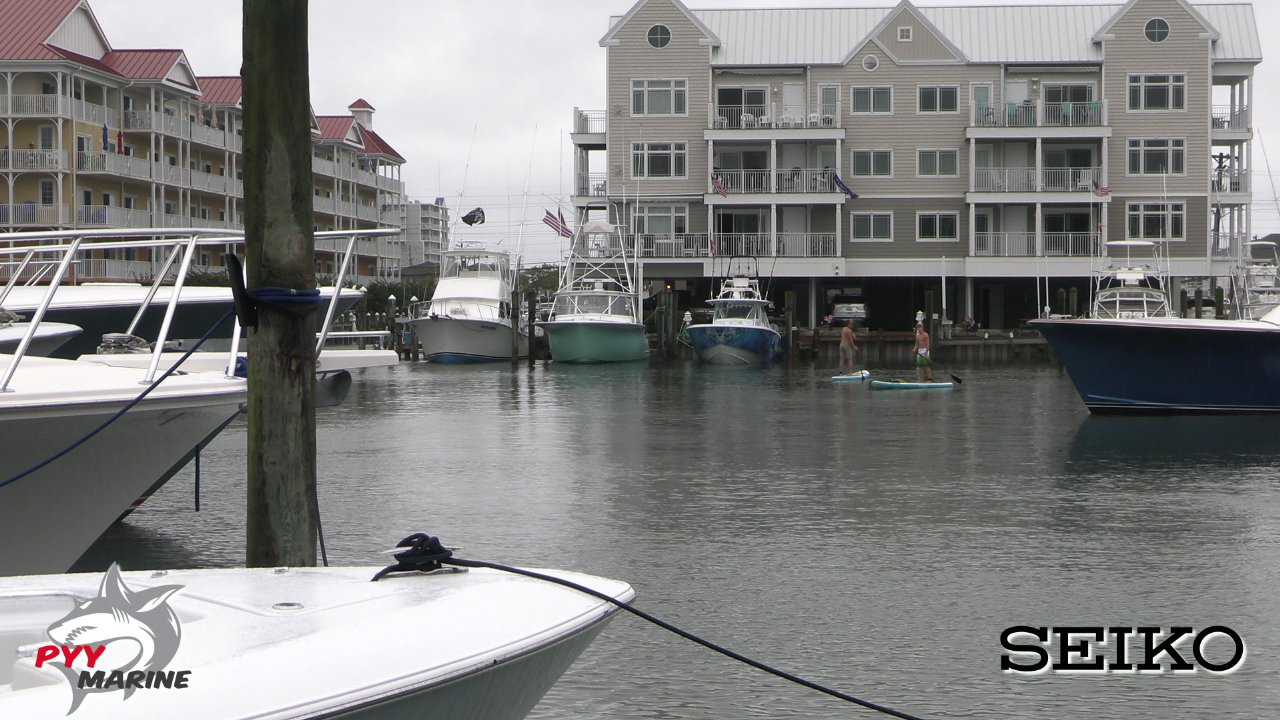 48th Annual White Marlin Open on Livestream