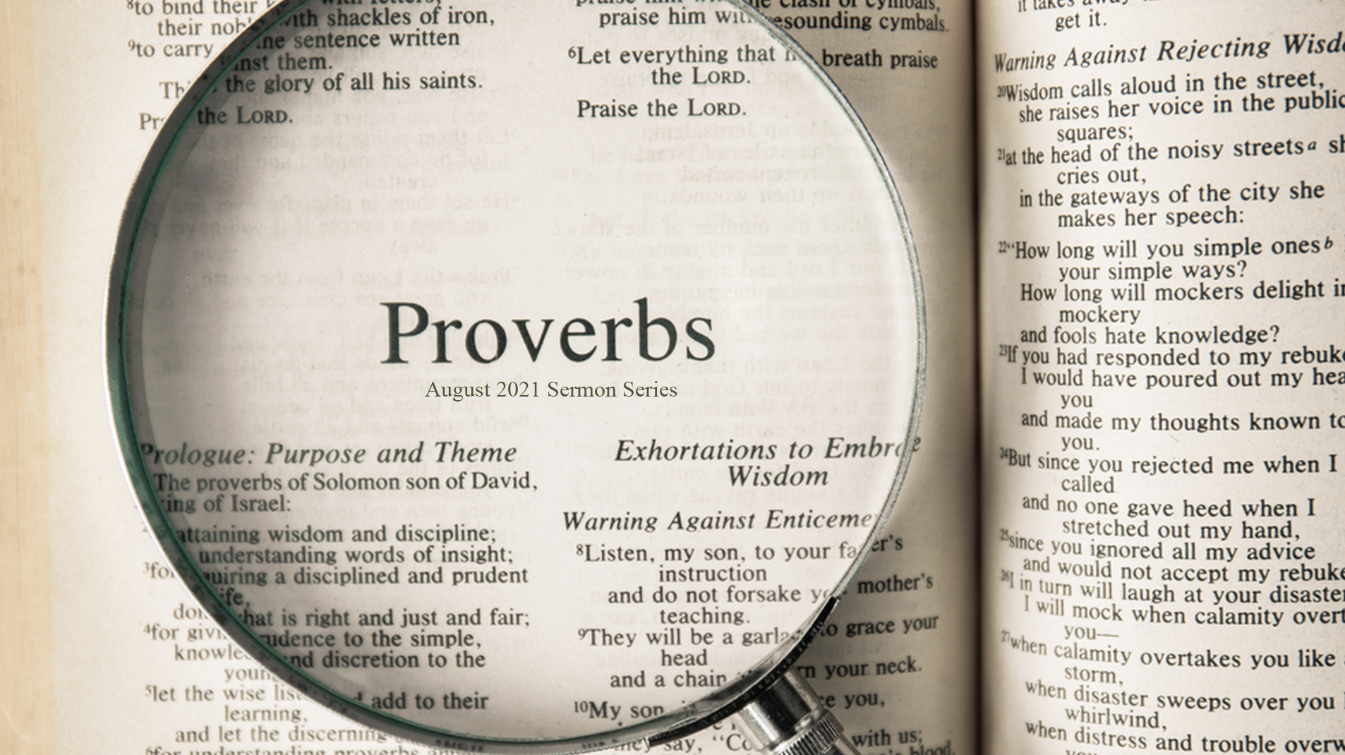 Proverbs examples. Proverbs and sayings. Proverbs книга. Sayings in English. Proverbs and sayings examples.