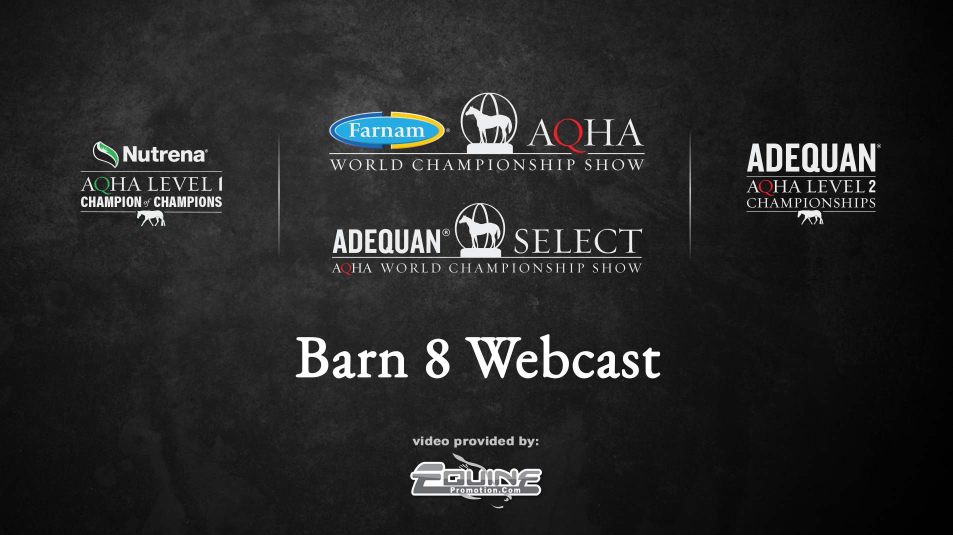 Barn 8 2022 farnam adequan select world show on livestream