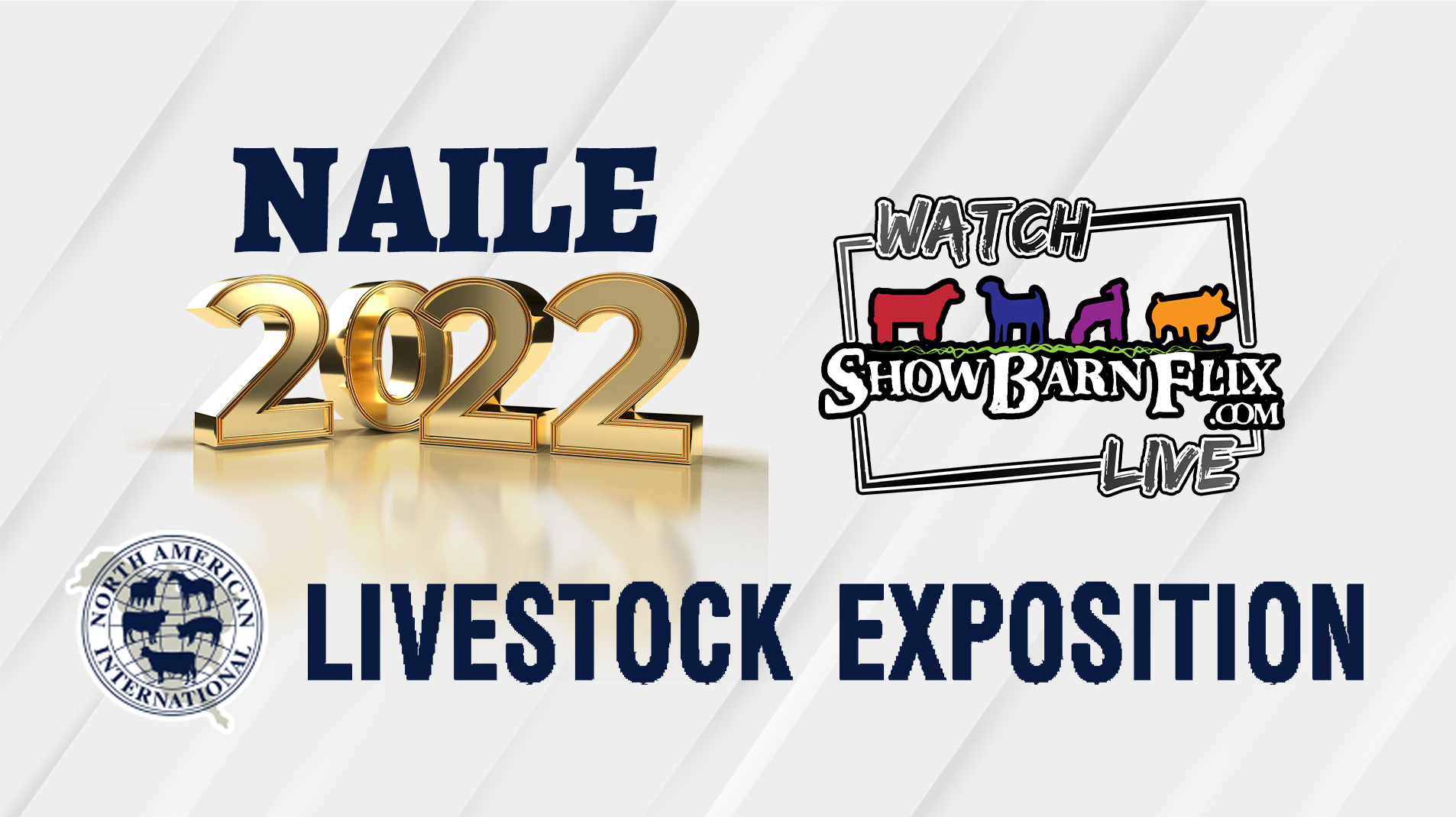 Jr. Ayrshire Show NAILE 2022! on Livestream