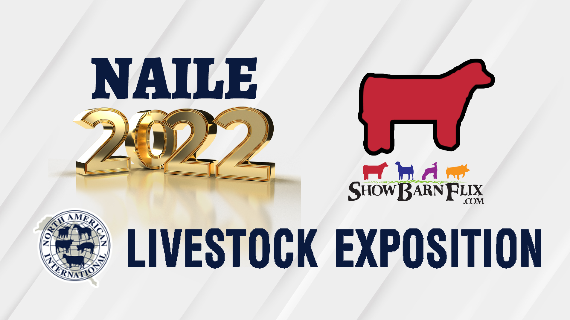 Open Shorthorn/Shorthorn Plus Show NAILE 2022! on Livestream