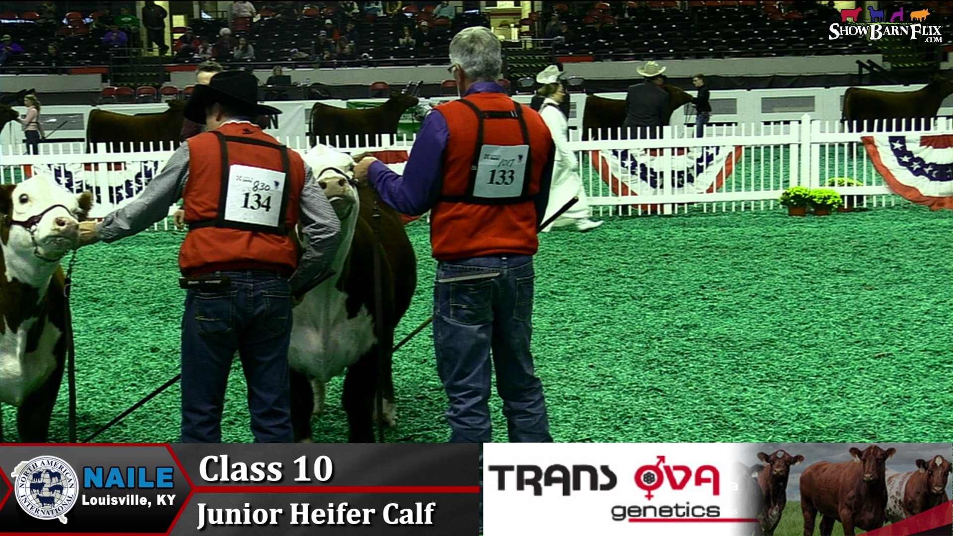 Open Hereford Show NAILE 2022! on Livestream