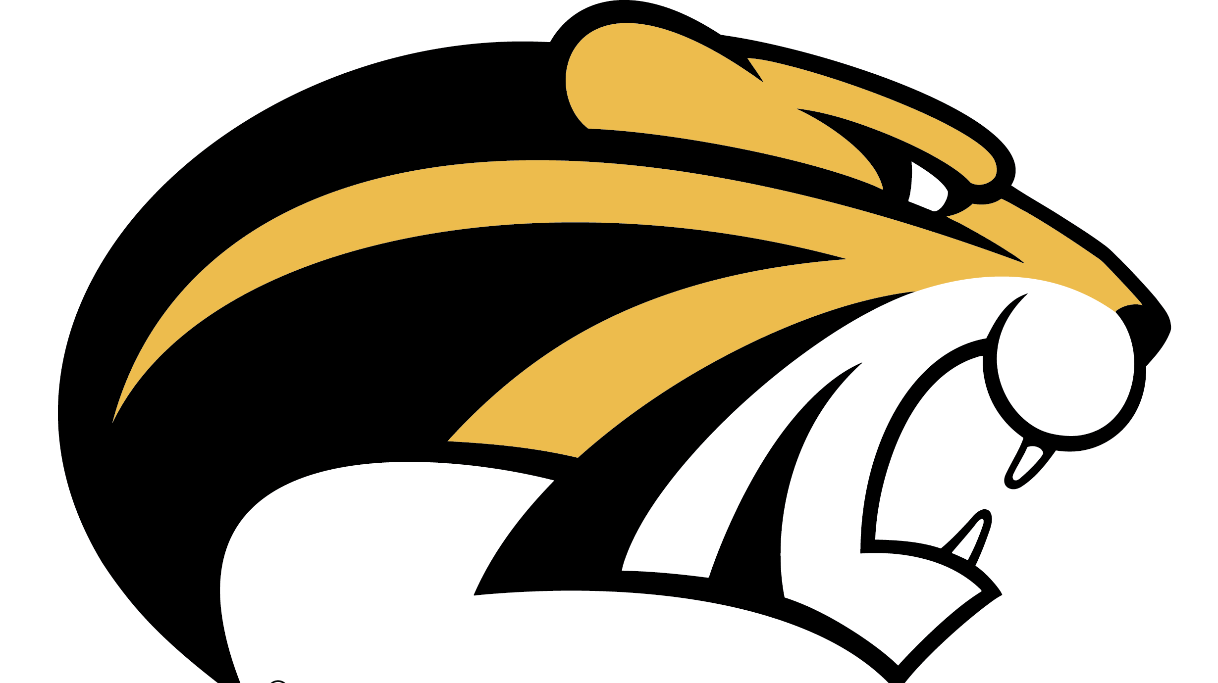 Brenau Lacrosse vs. Cumberlands on Livestream