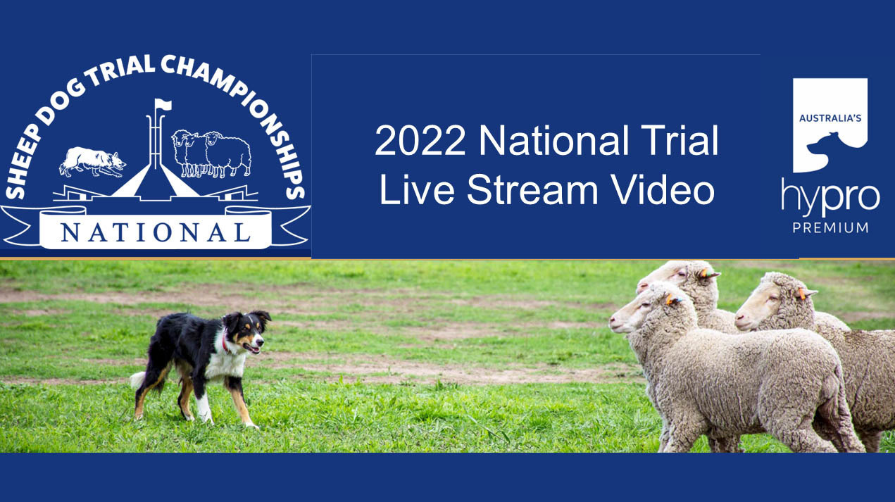 National Sheepdog Trials 2023 on Livestream