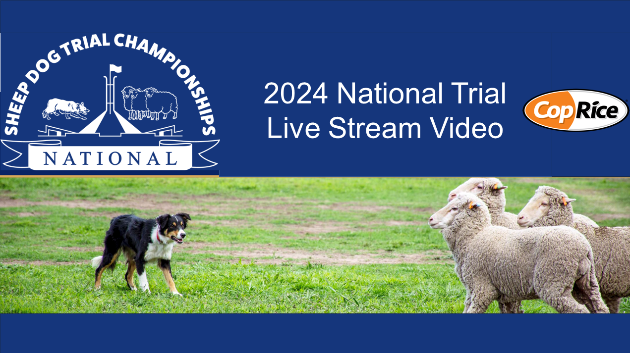 National Sheepdog Trials 2024 on Livestream