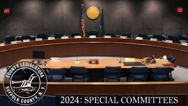 2024: SPECIAL COMMITTEES on Livestream